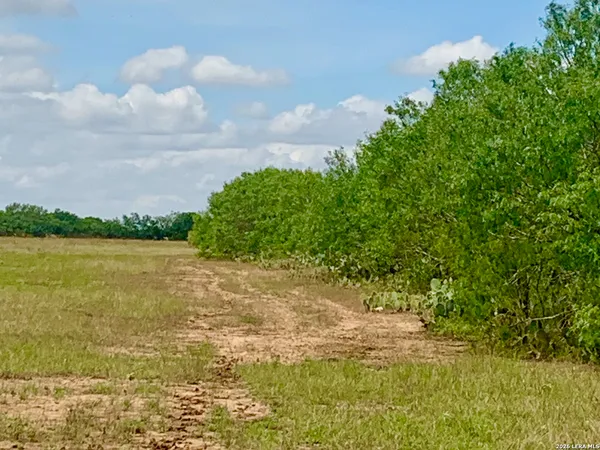 $798,000 | 1152 A County Road 227, Falls City, TX 78113