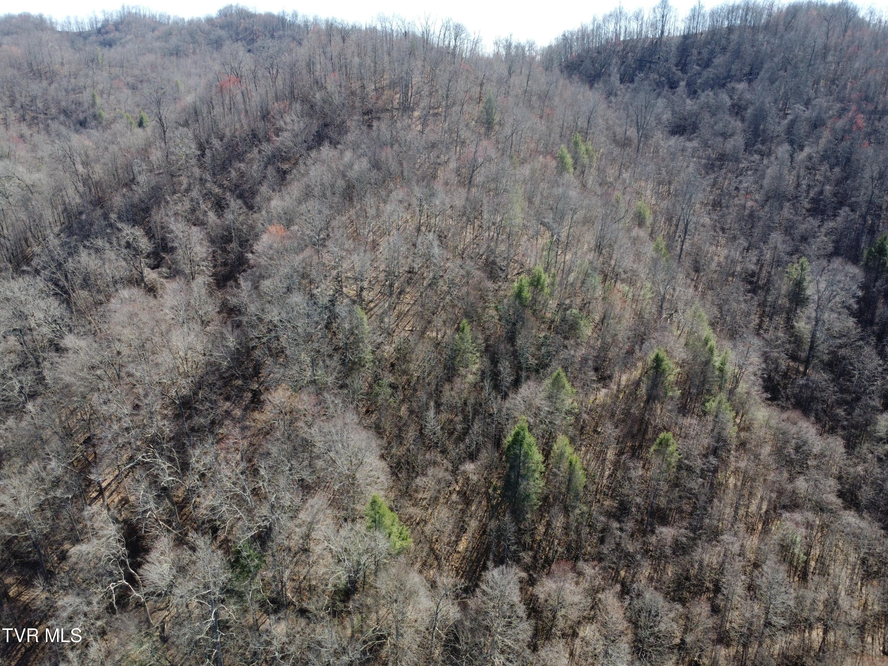 Tbd Bull Run Road Coeburn, VA 24230 - Photo 46 of 57 DJI_0621