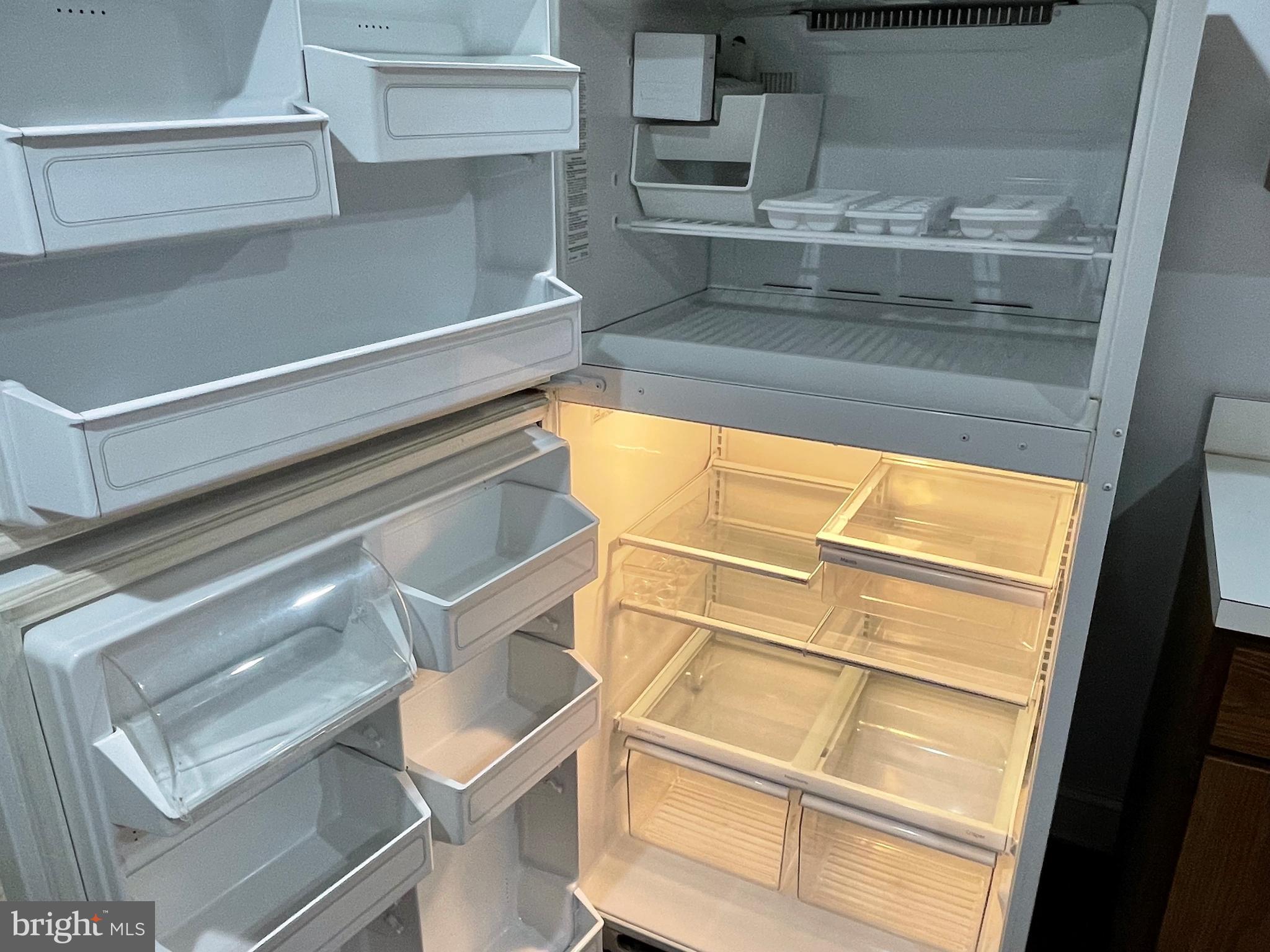 802 E Street Northeast, Unit 2 Washington, DC 20002 - Photo 11 of 19 Large Refrigerator