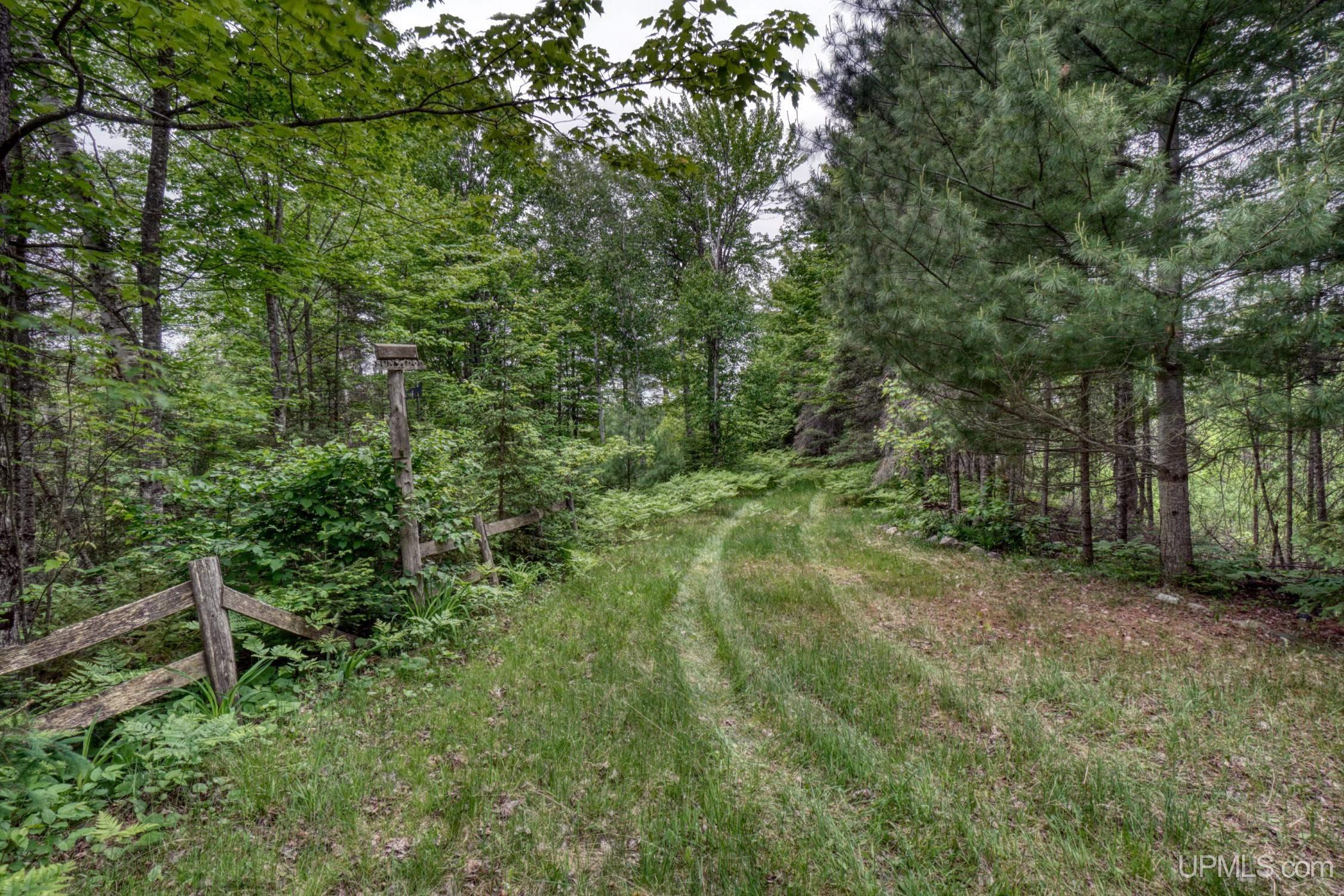 3688 Scoter Road Republic, MI 49879 - Photo 4 of 40