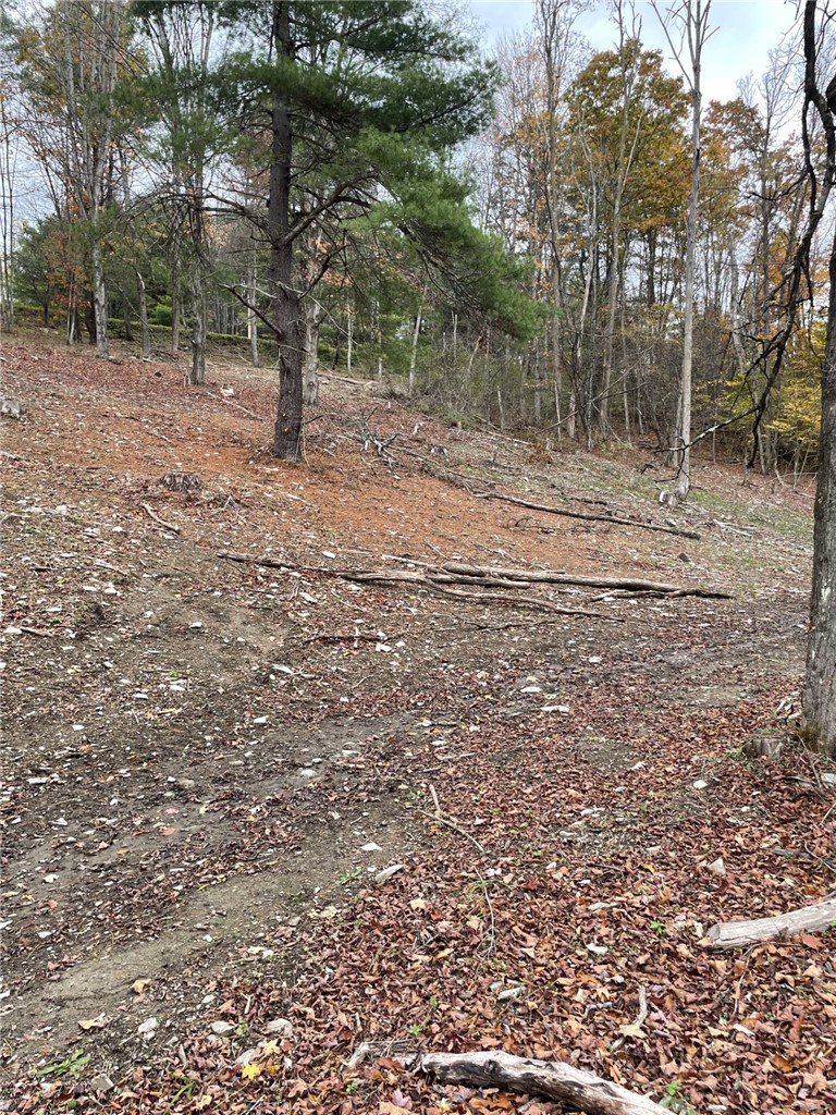 0 Parker Road Campbell, NY 14821 - Photo 6 of 9