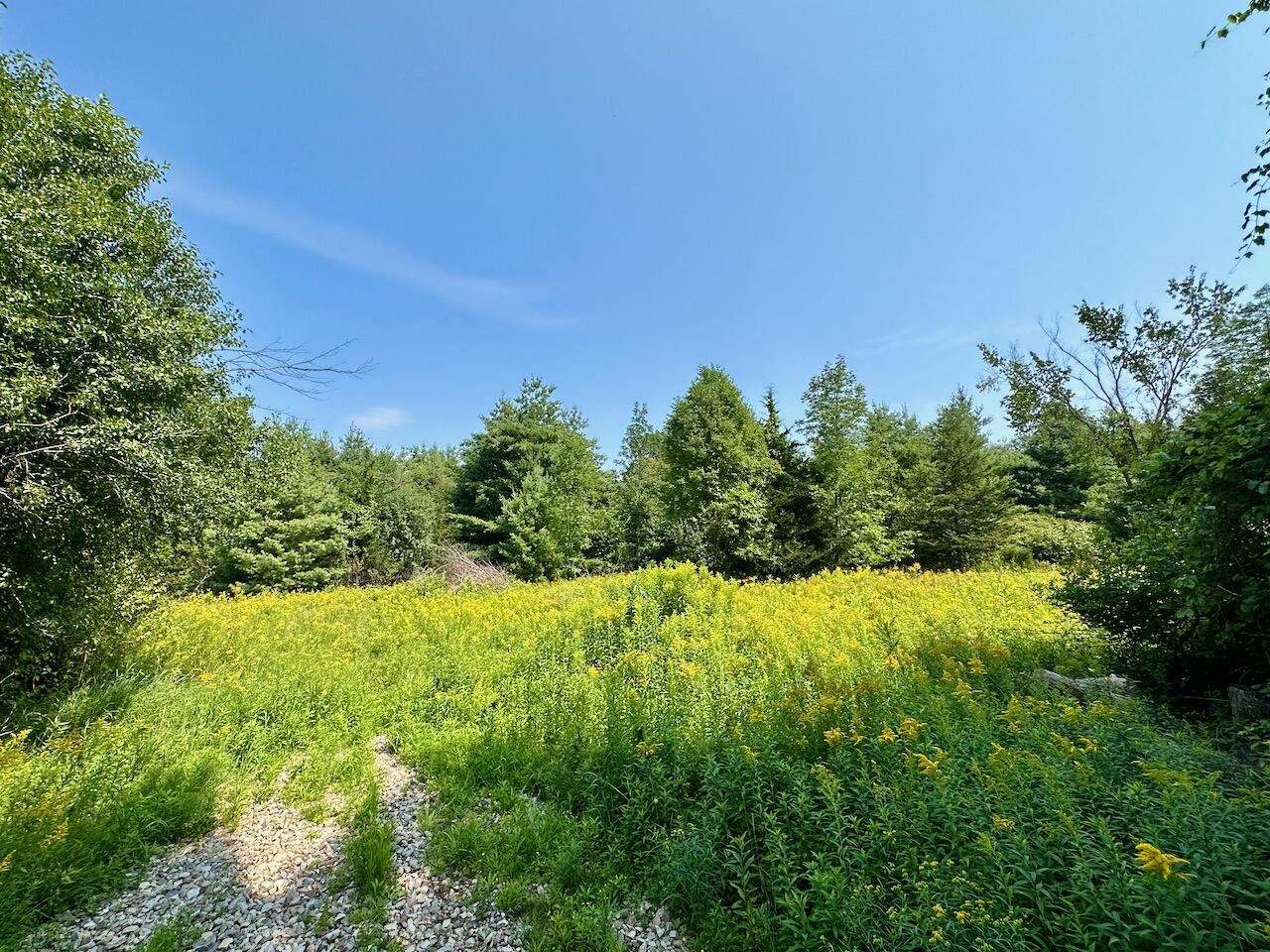 0 Dave Straight Road Jay, NY 12941 - Photo 2 of 17