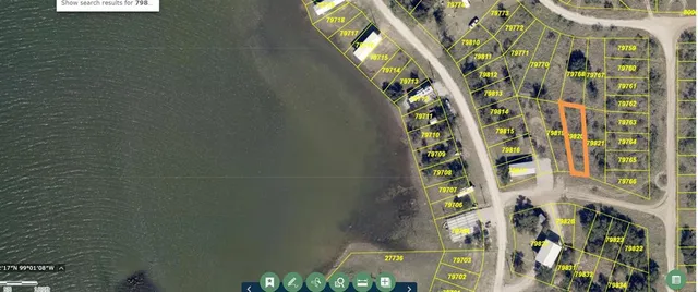 a close up of a plant