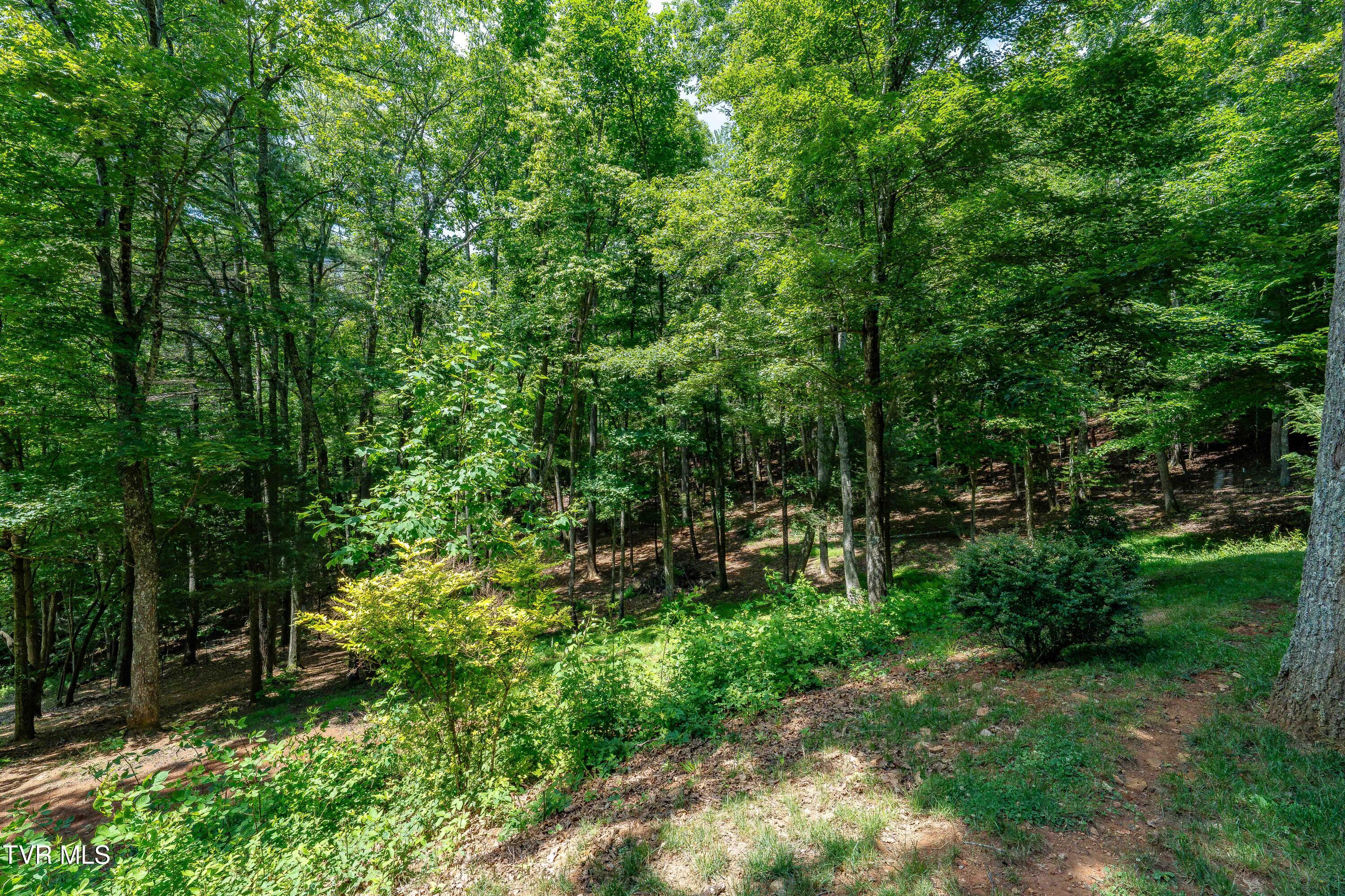 191 Bear Ridge Drive Butler, TN 37640 - Photo 71 of 80 191 Bear Ridge Dr (32 of 80)