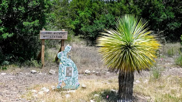 a black and white building