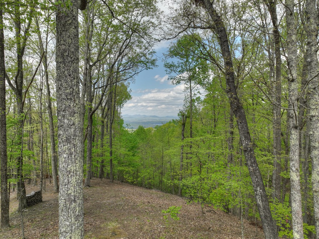 253 Green Ridge Mountain Blue Ridge, GA 30513 - Photo 36 of 59