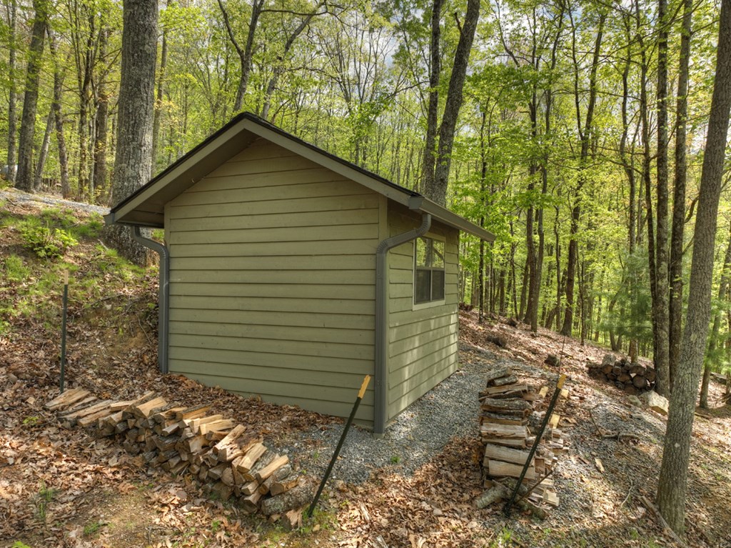 253 Green Ridge Mountain Blue Ridge, GA 30513 - Photo 44 of 59