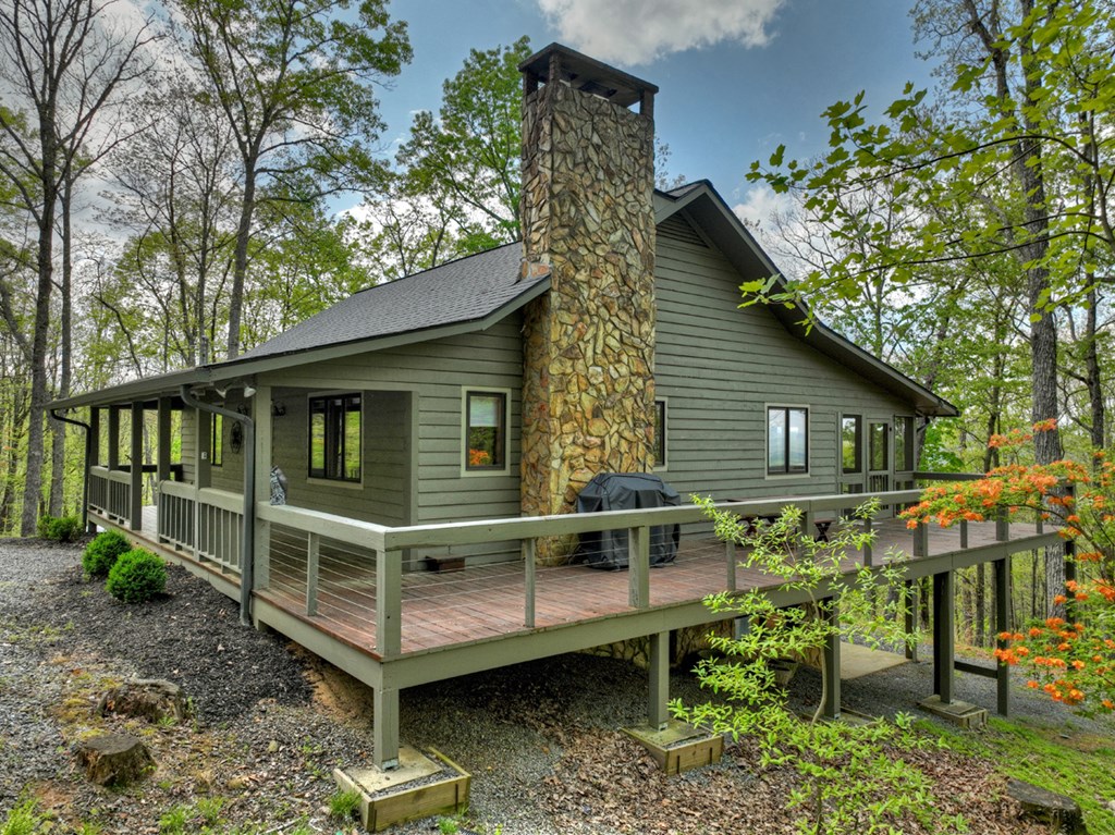 253 Green Ridge Mountain Blue Ridge, GA 30513 - Photo 46 of 59