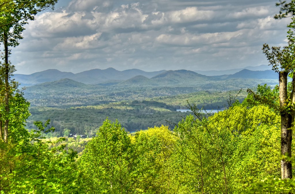253 Green Ridge Mountain Blue Ridge, GA 30513 - Photo 51 of 59