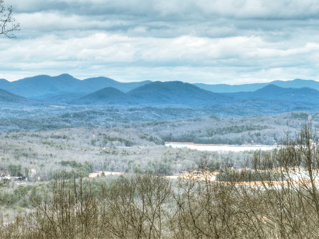 253 Green Ridge Mountain Blue Ridge, GA 30513 - Photo 58 of 59