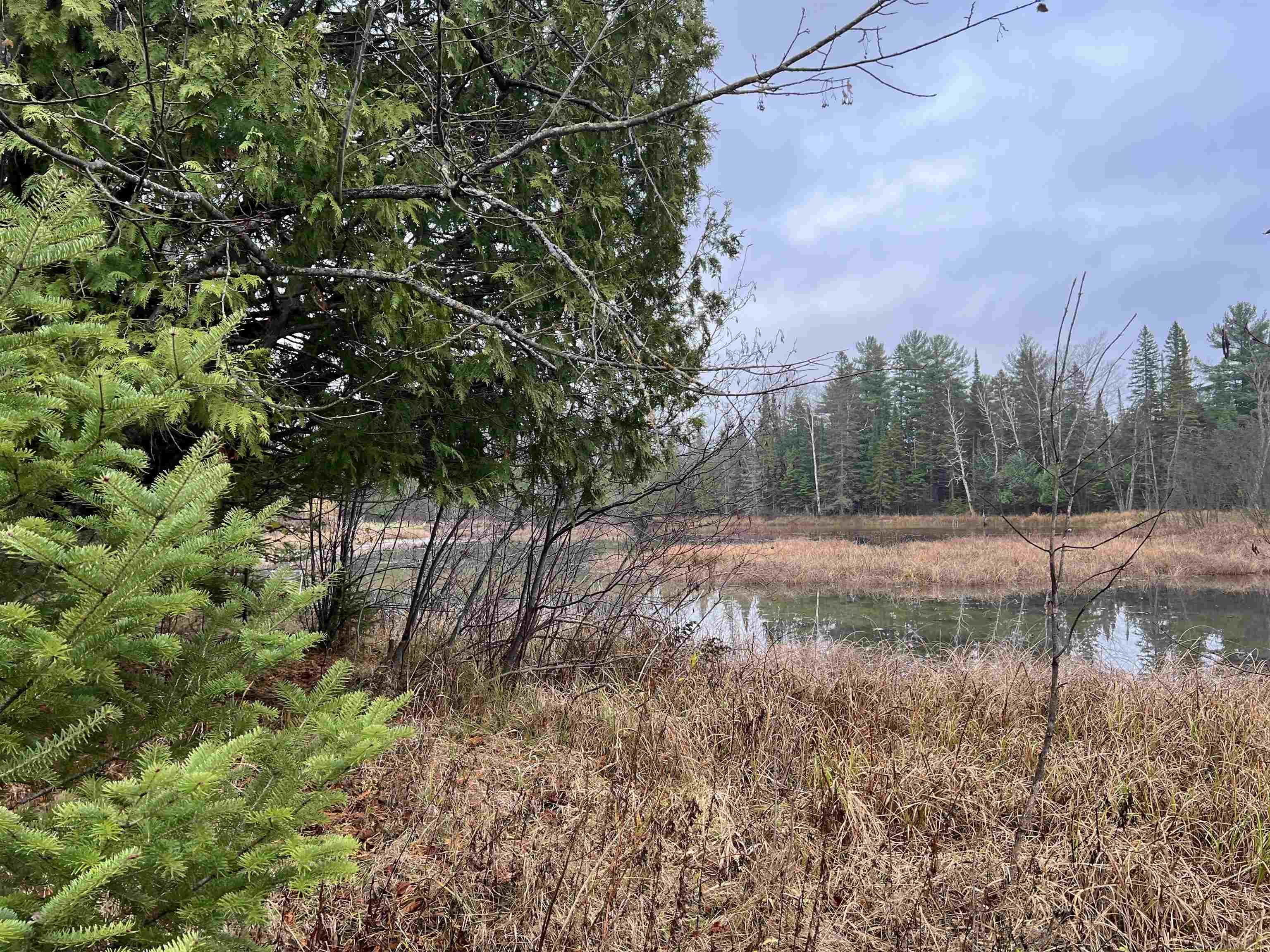 Long Rapids Road Alpena, MI 49707 - Photo 16 of 47 Gallery Image 16