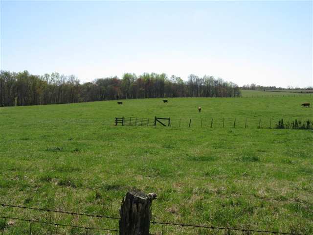 1 State Rd S-4-937 Honea Path, SC 29654 - Photo 21 of 24