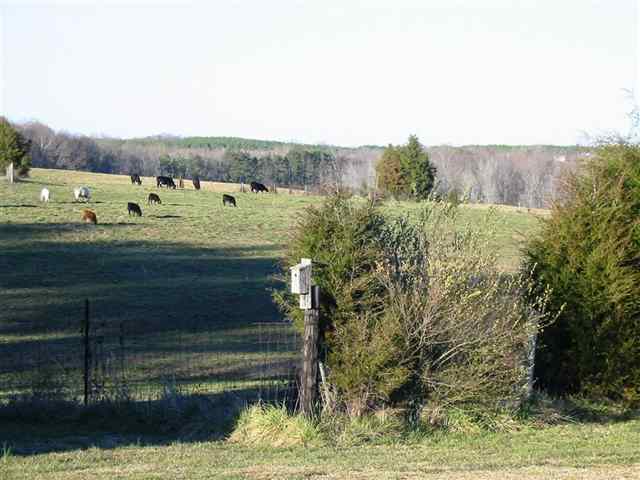 1 State Rd S-4-937 Honea Path, SC 29654 - Photo 23 of 24