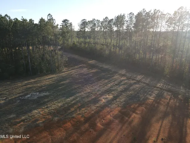 $145,000 | 2094 West Topisaw South, Tylertown, MS 39667