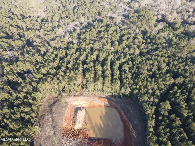 $145,000 | 2094 West Topisaw South, Tylertown, MS 39667