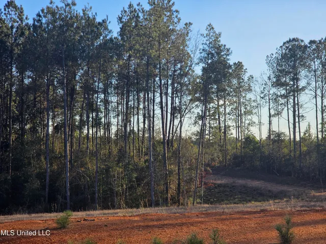 $145,000 | 2094 West Topisaw South, Tylertown, MS 39667