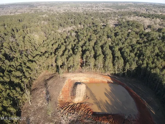 $145,000 | 2094 West Topisaw South, Tylertown, MS 39667