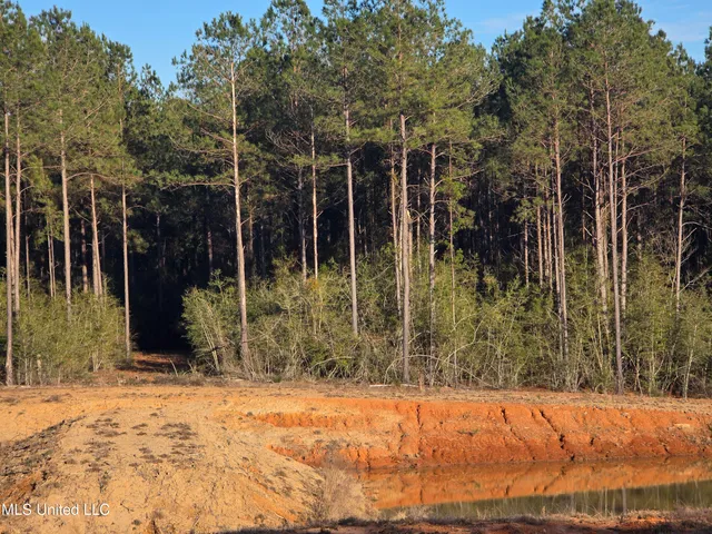 $145,000 | 2094 West Topisaw South, Tylertown, MS 39667