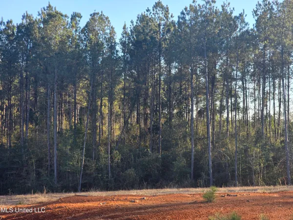 $139,900 | 2094 West Topisaw South, Tylertown, MS 39667