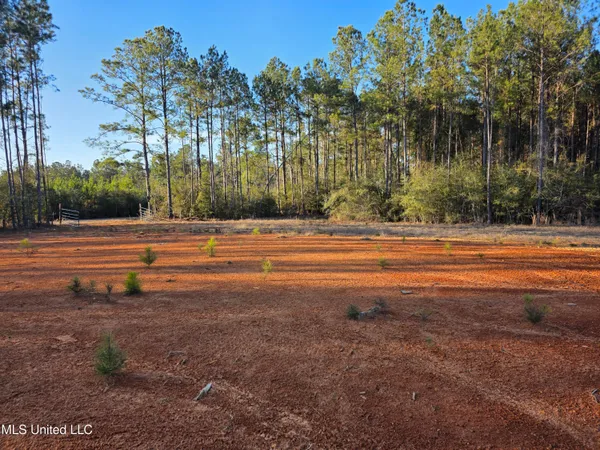 $139,900 | 2094 West Topisaw South, Tylertown, MS 39667