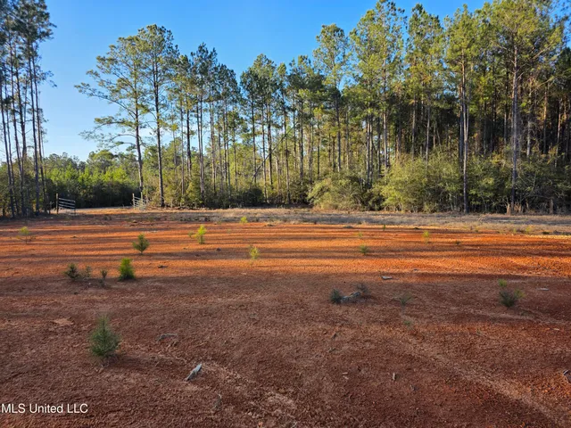 $145,000 | 2094 West Topisaw South, Tylertown, MS 39667