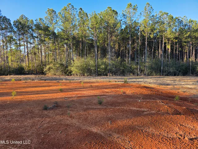 $145,000 | 2094 West Topisaw South, Tylertown, MS 39667