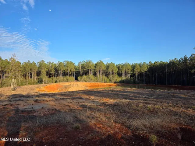 $145,000 | 2094 West Topisaw South, Tylertown, MS 39667