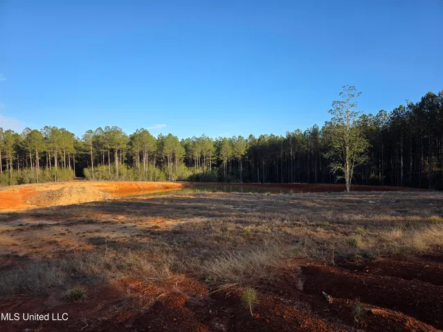 $145,000 | 2094 West Topisaw South, Tylertown, MS 39667