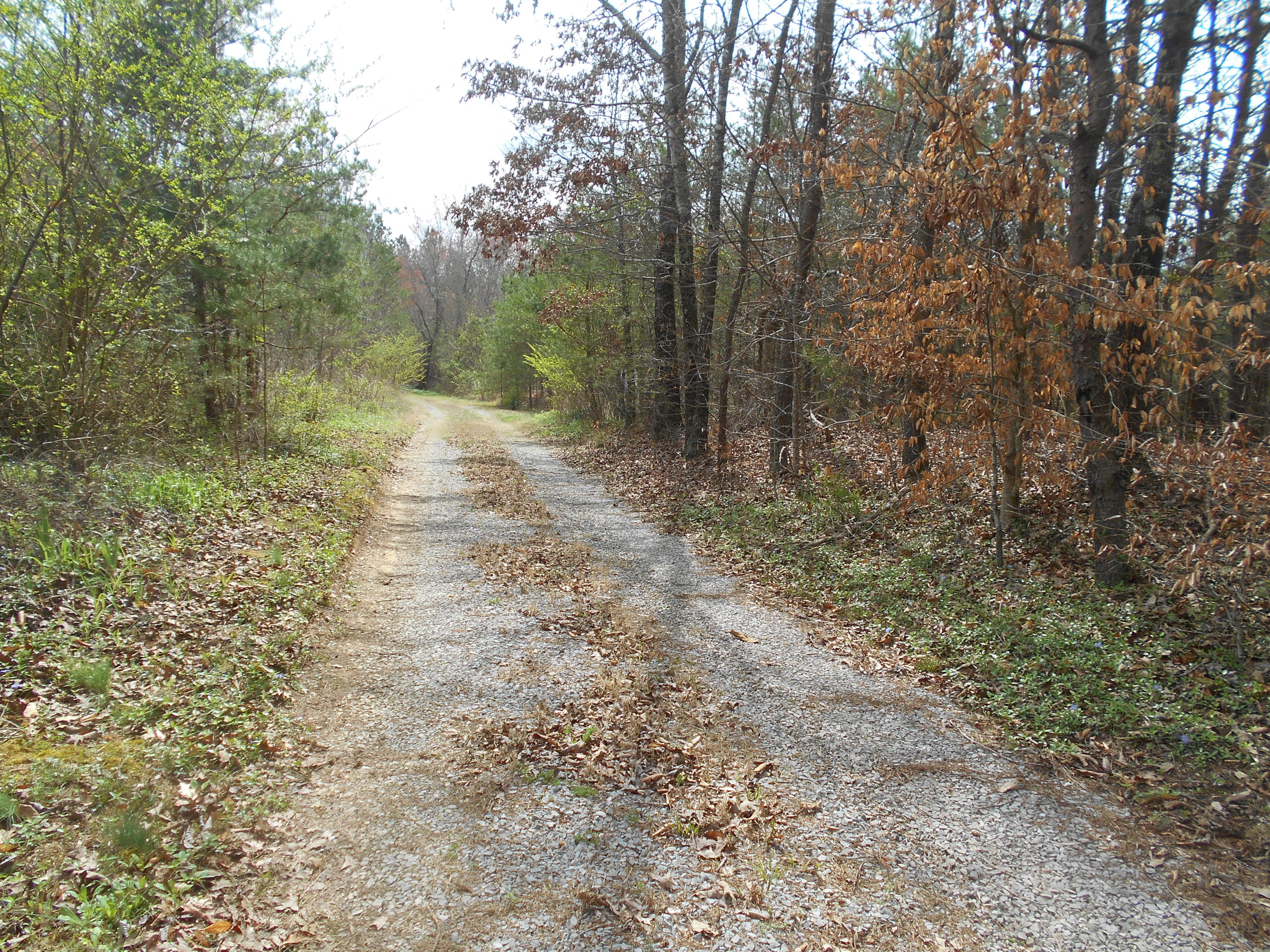 1212 Stanton Road Seymour, TN 37865 - Photo 11 of 25 DSCN1863