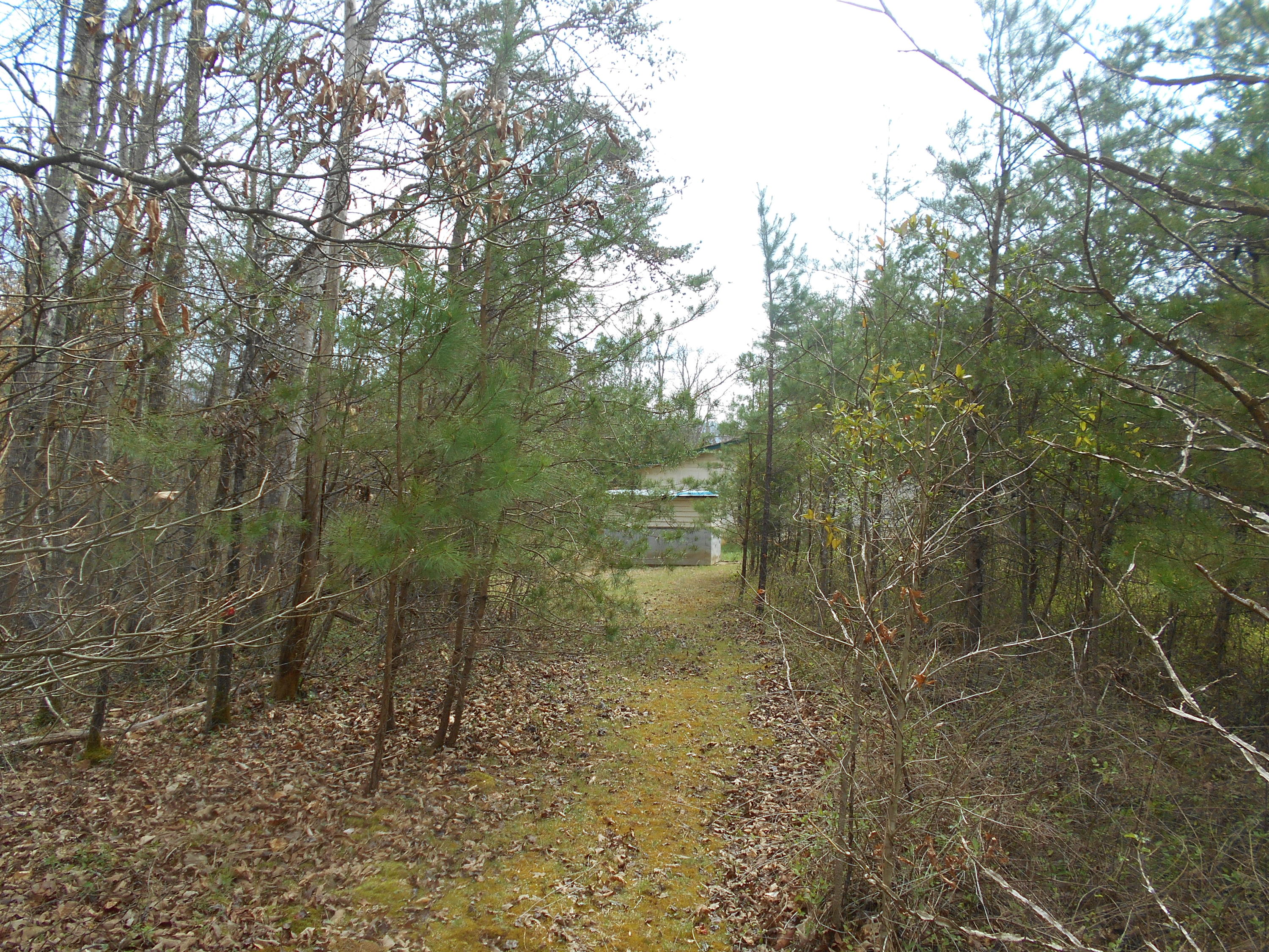 1212 Stanton Road Seymour, TN 37865 - Photo 14 of 25 DSCN1866