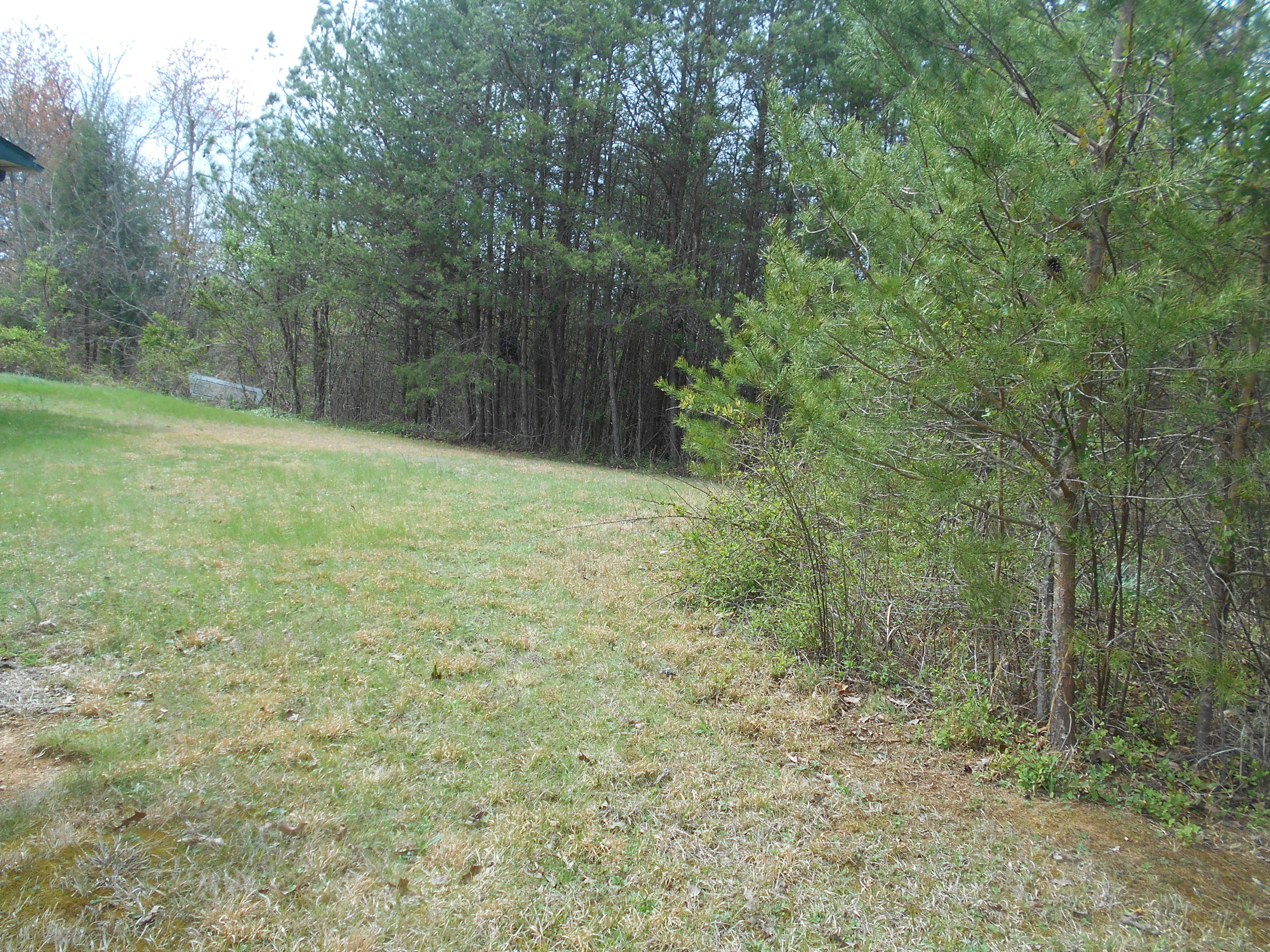 1212 Stanton Road Seymour, TN 37865 - Photo 16 of 25 DSCN1868