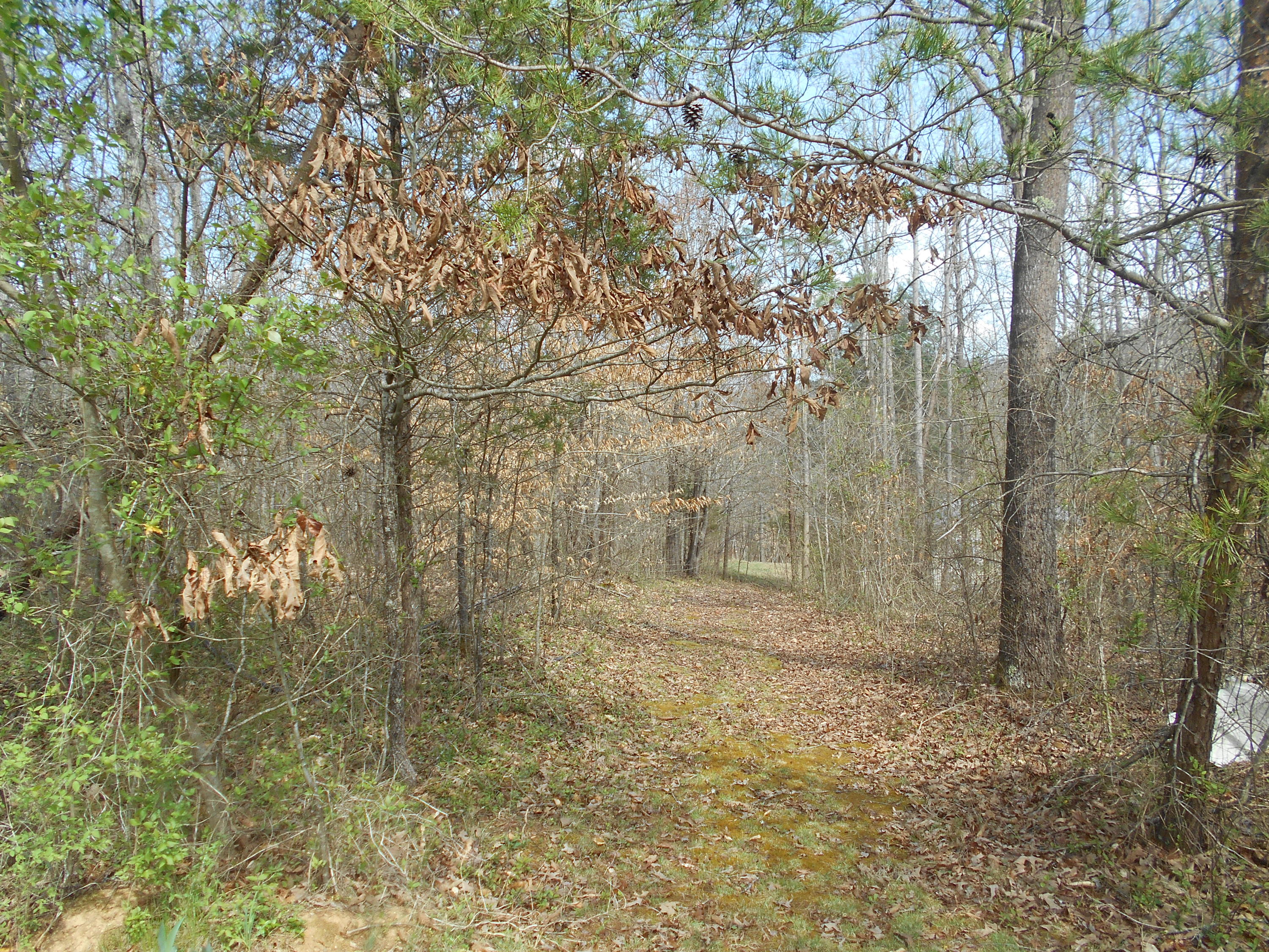 1212 Stanton Road Seymour, TN 37865 - Photo 17 of 25 DSCN1850