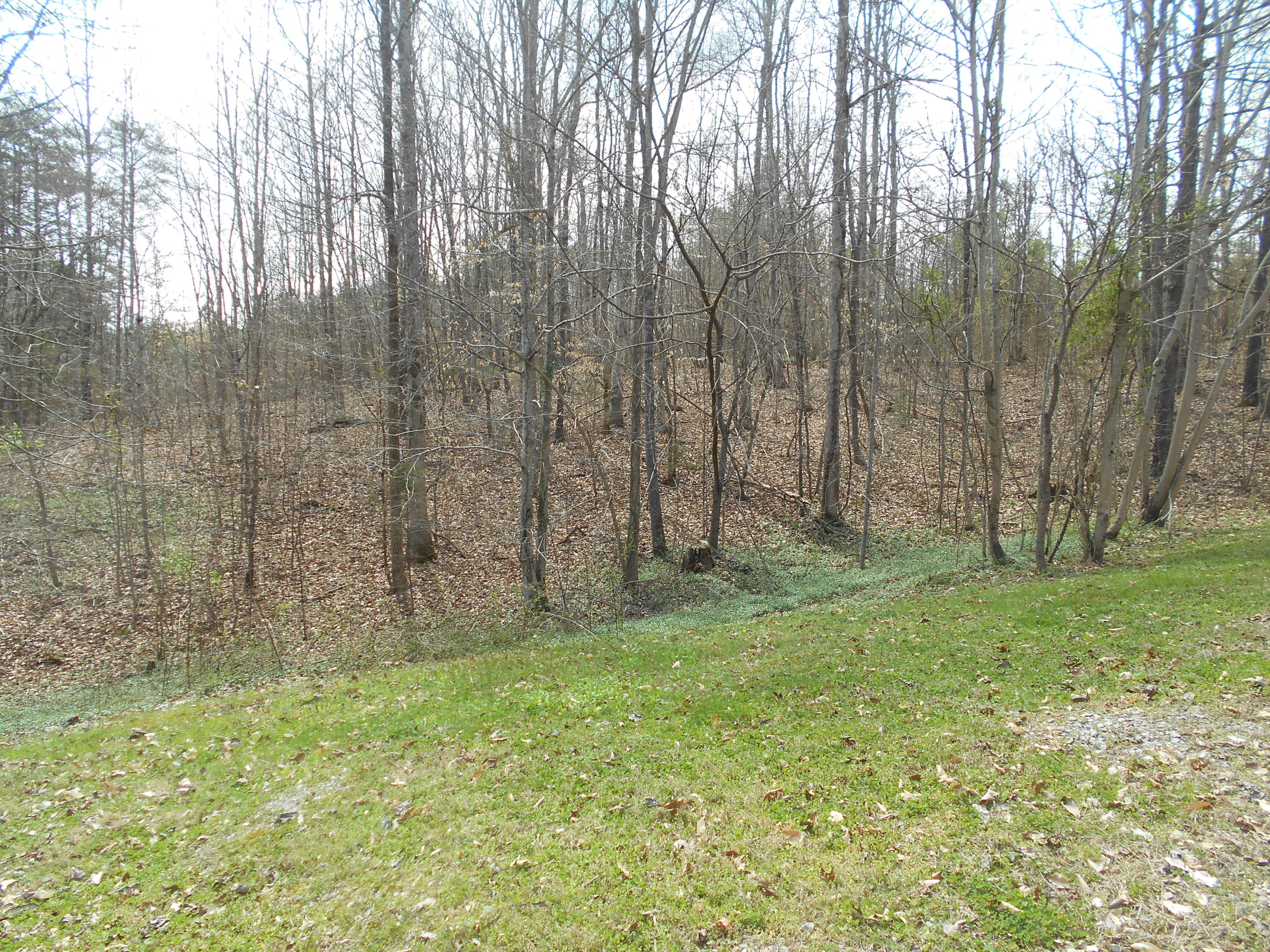 1212 Stanton Road Seymour, TN 37865 - Photo 19 of 25 DSCN1853
