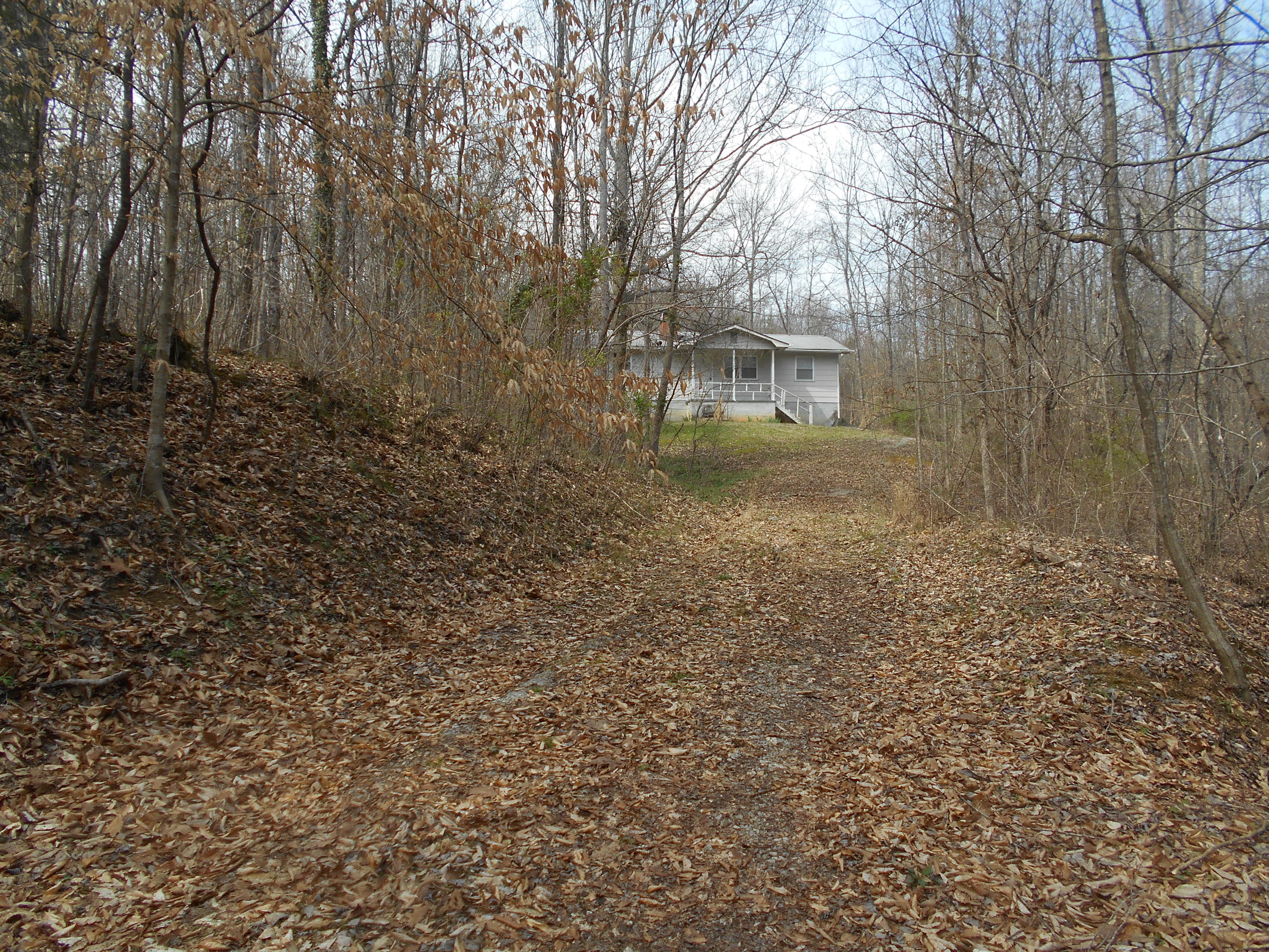 1212 Stanton Road Seymour, TN 37865 - Photo 20 of 25 DSCN1854