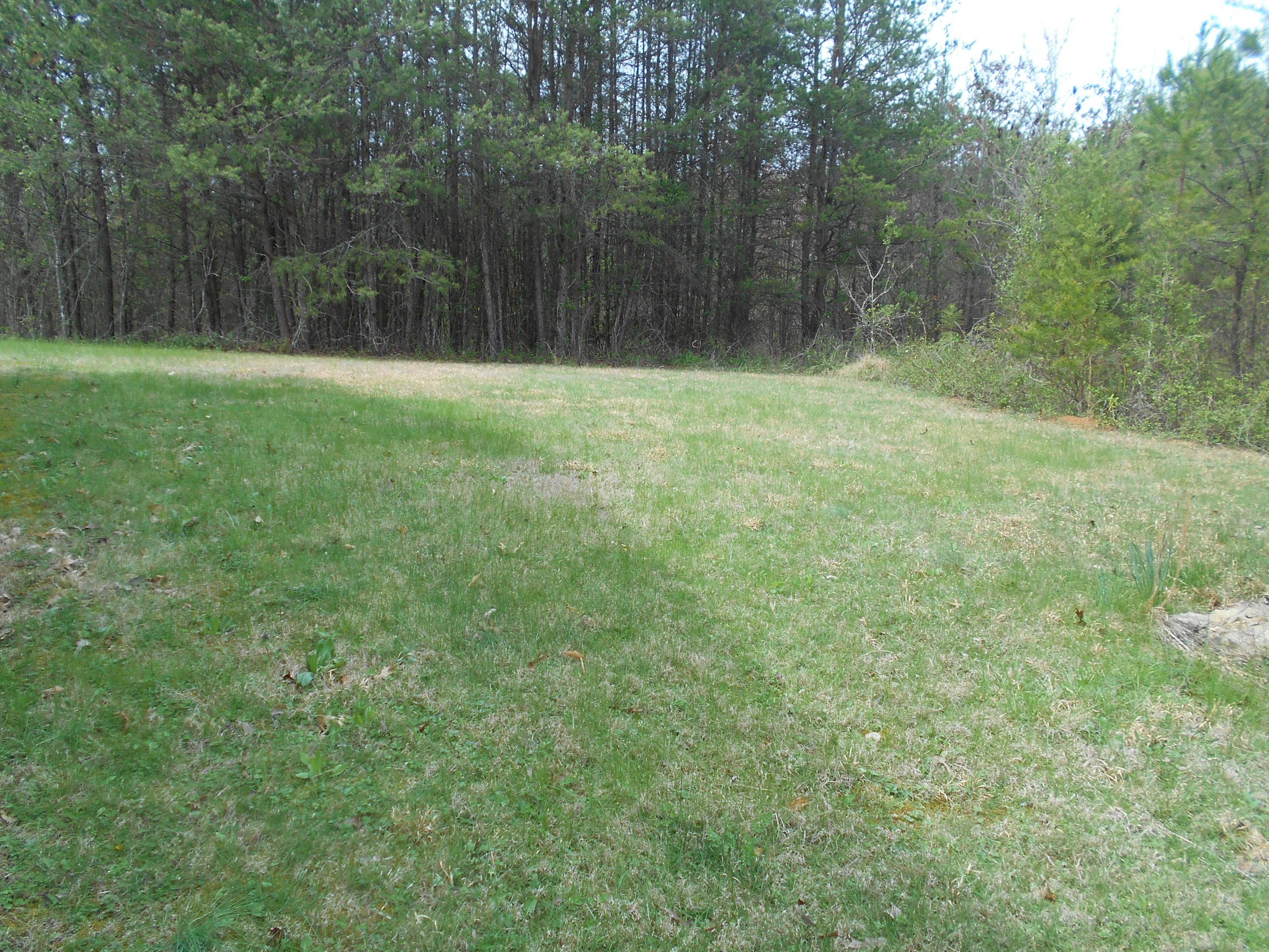 1212 Stanton Road Seymour, TN 37865 - Photo 3 of 25 DSCN1869