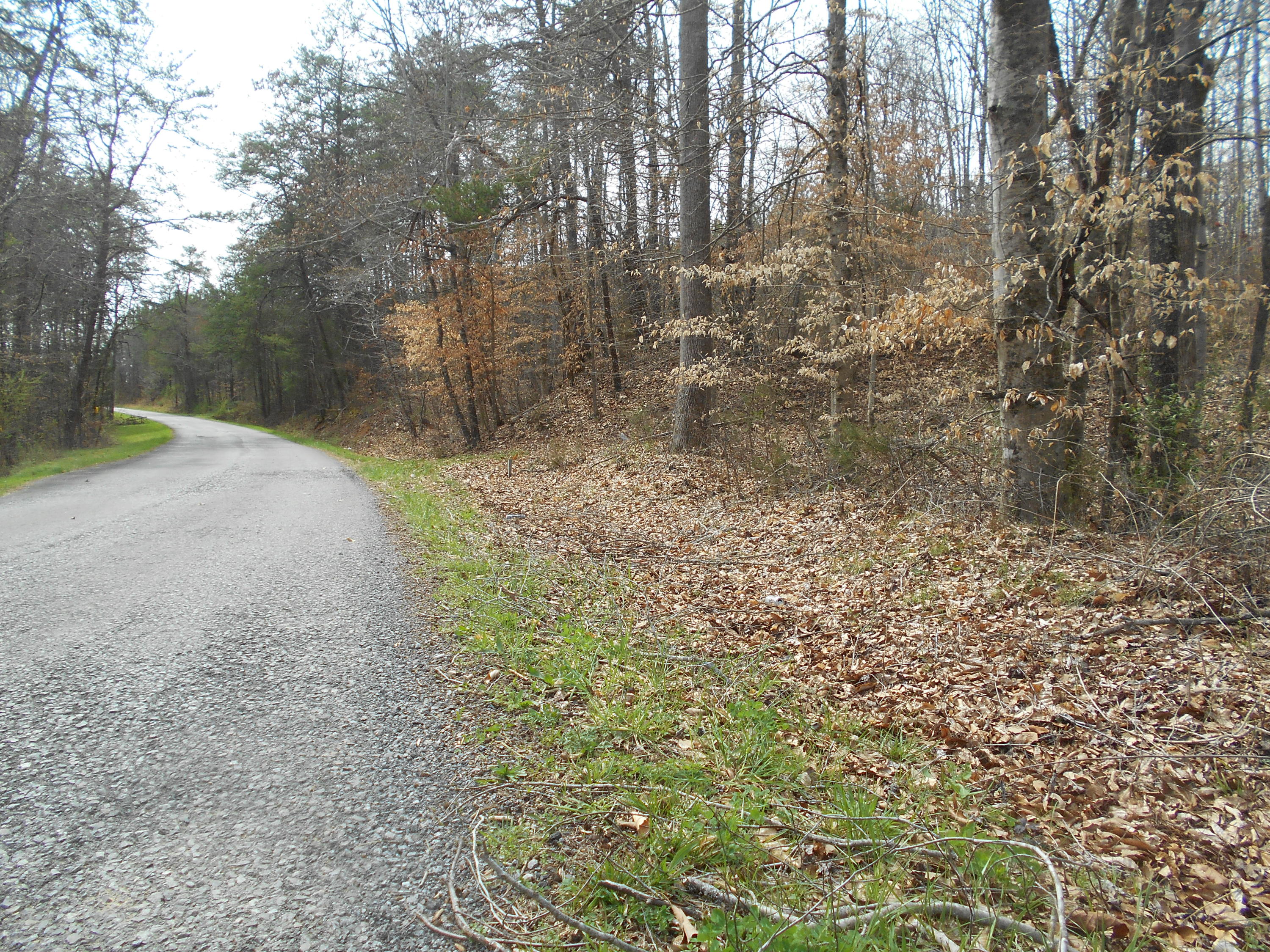 1212 Stanton Road Seymour, TN 37865 - Photo 4 of 25 DSCN1857