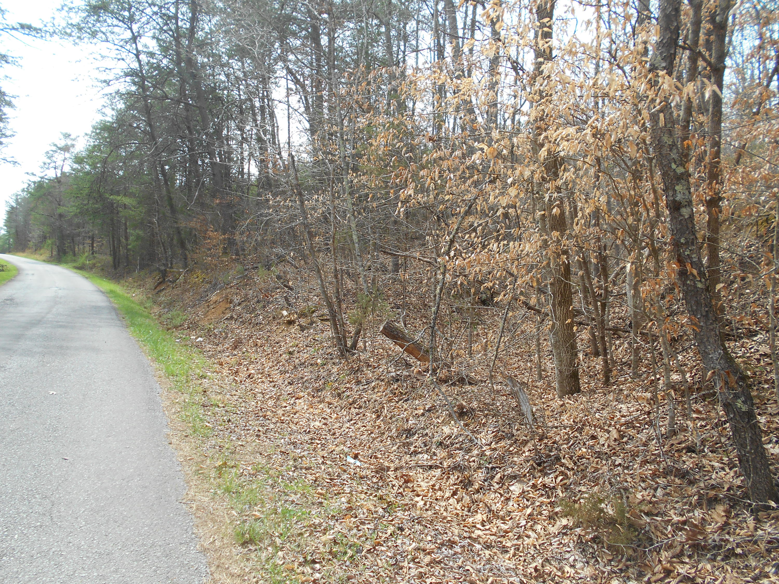 1212 Stanton Road Seymour, TN 37865 - Photo 6 of 25 DSCN1858