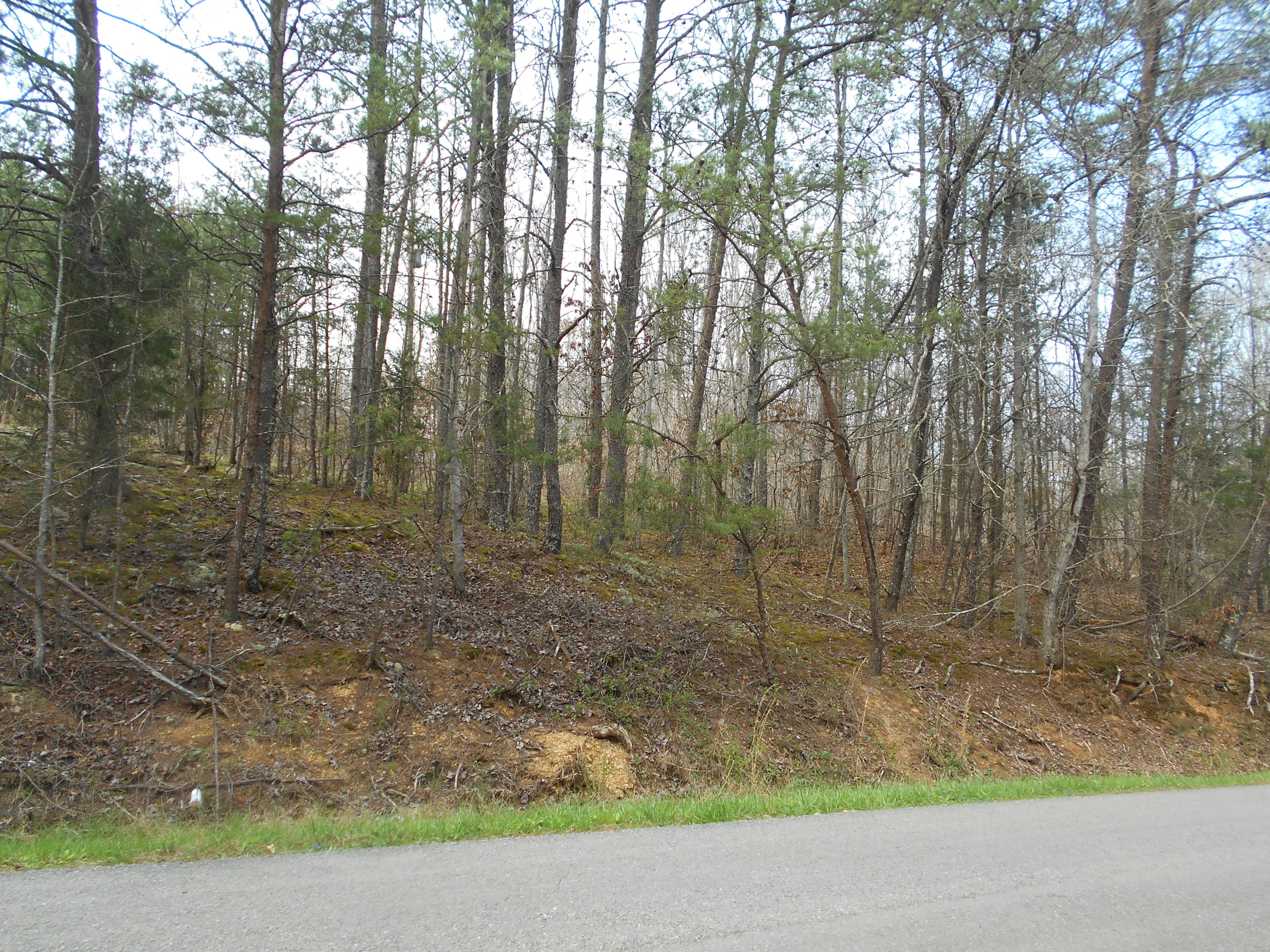 1212 Stanton Road Seymour, TN 37865 - Photo 7 of 25 DSCN1859