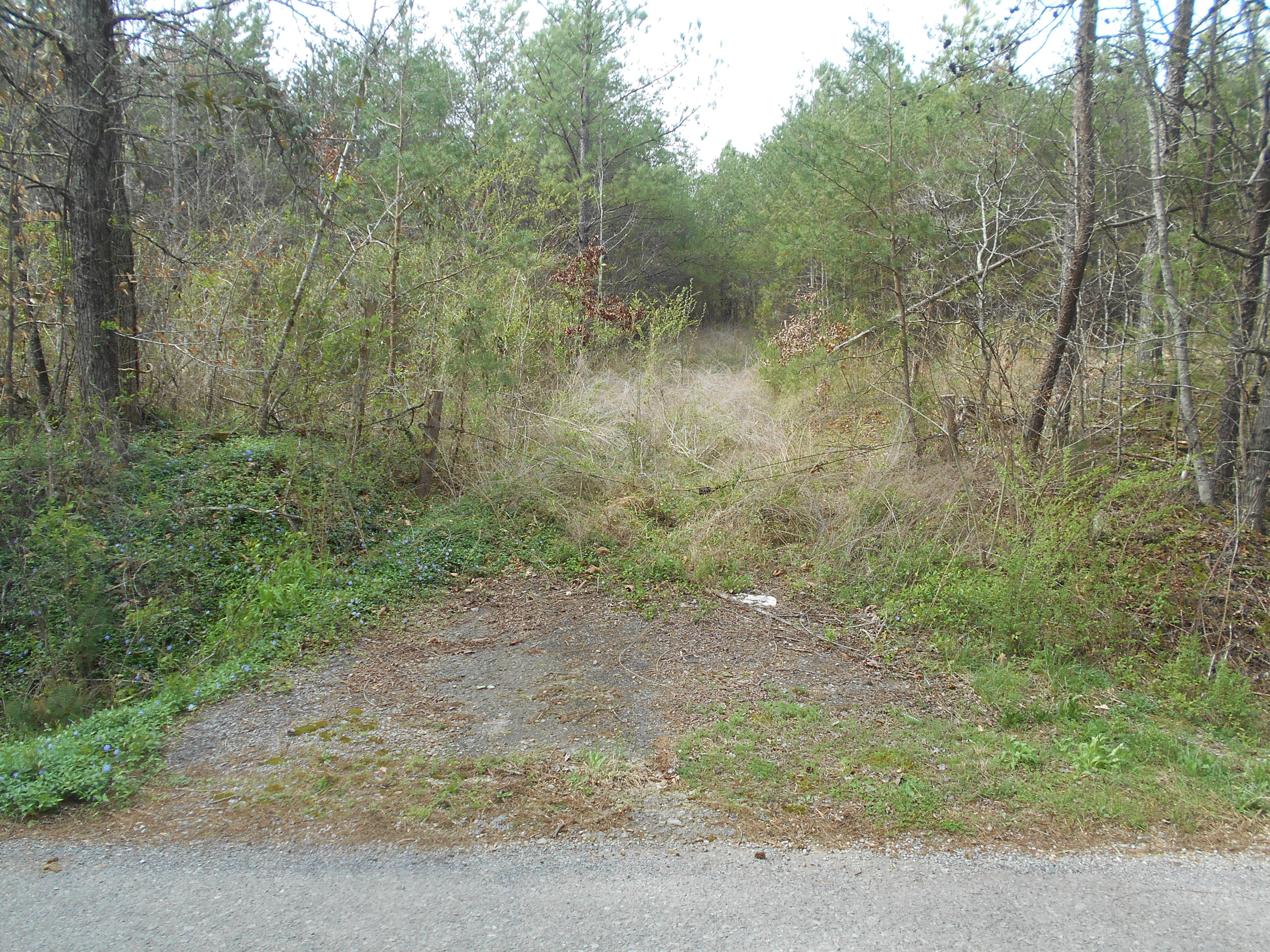 1212 Stanton Road Seymour, TN 37865 - Photo 8 of 25 DSCN1860