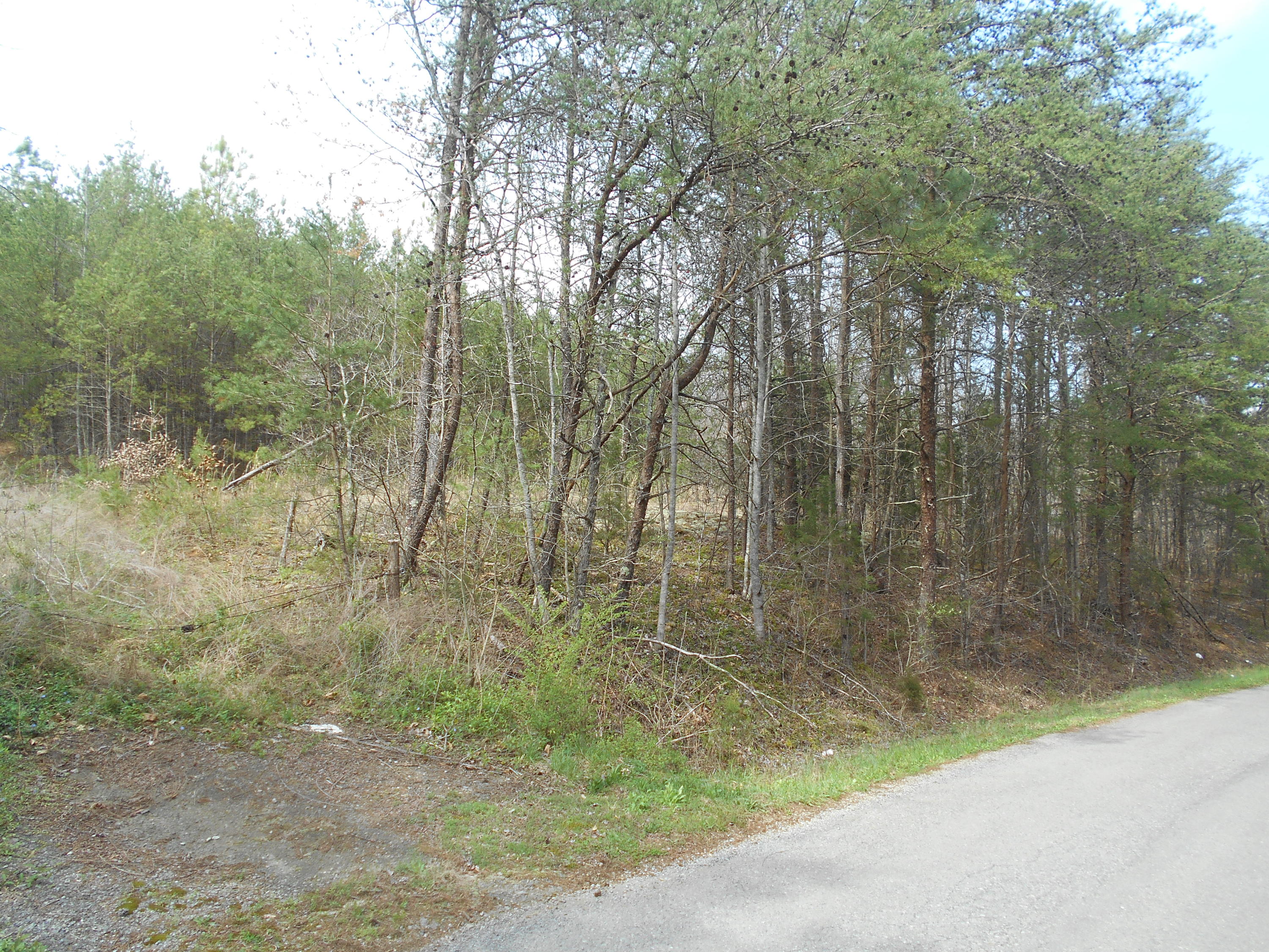 1212 Stanton Road Seymour, TN 37865 - Photo 9 of 25 DSCN1861