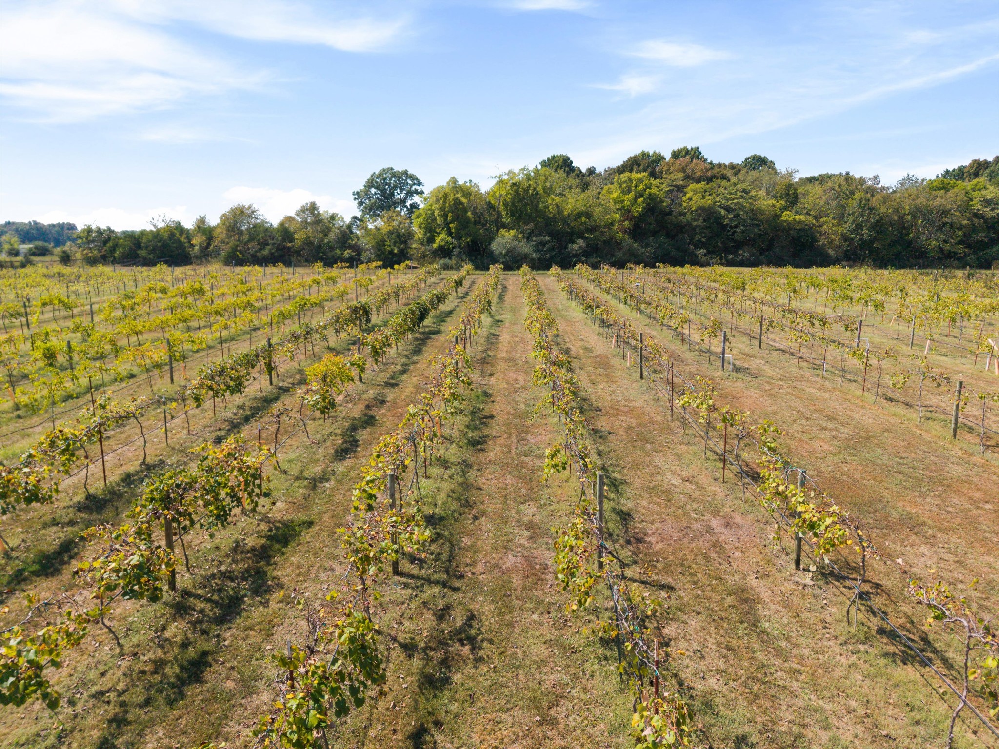 3595 Clark Road Lewisburg, TN 37091 - Photo 73 of 88 Gallery Image 73