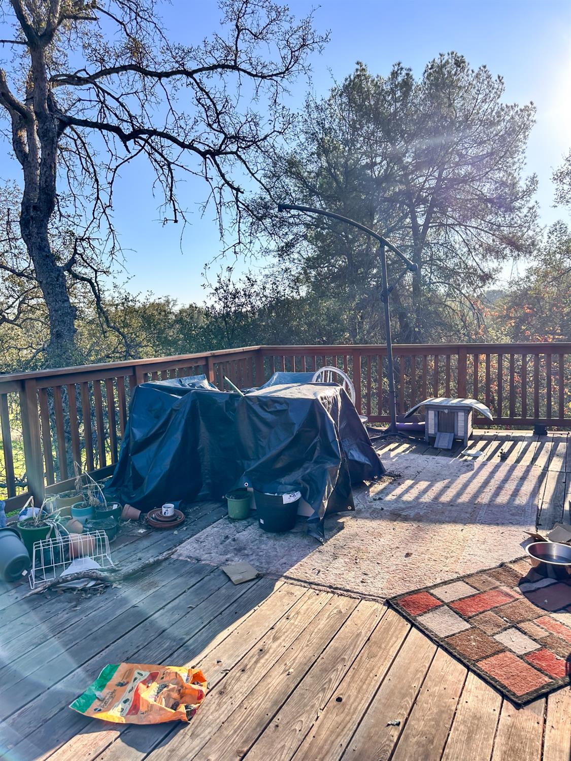 906 Elwood Road Squaw Valley, CA 93675 - Photo 17 of 25