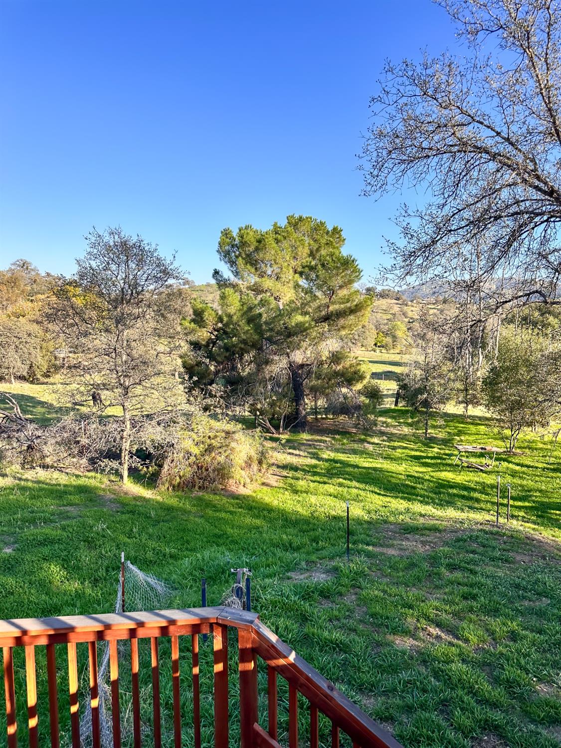 906 Elwood Road Squaw Valley, CA 93675 - Photo 19 of 25