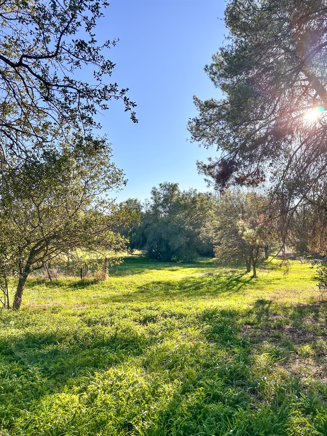 906 Elwood Road Squaw Valley, CA 93675 - Photo 21 of 25