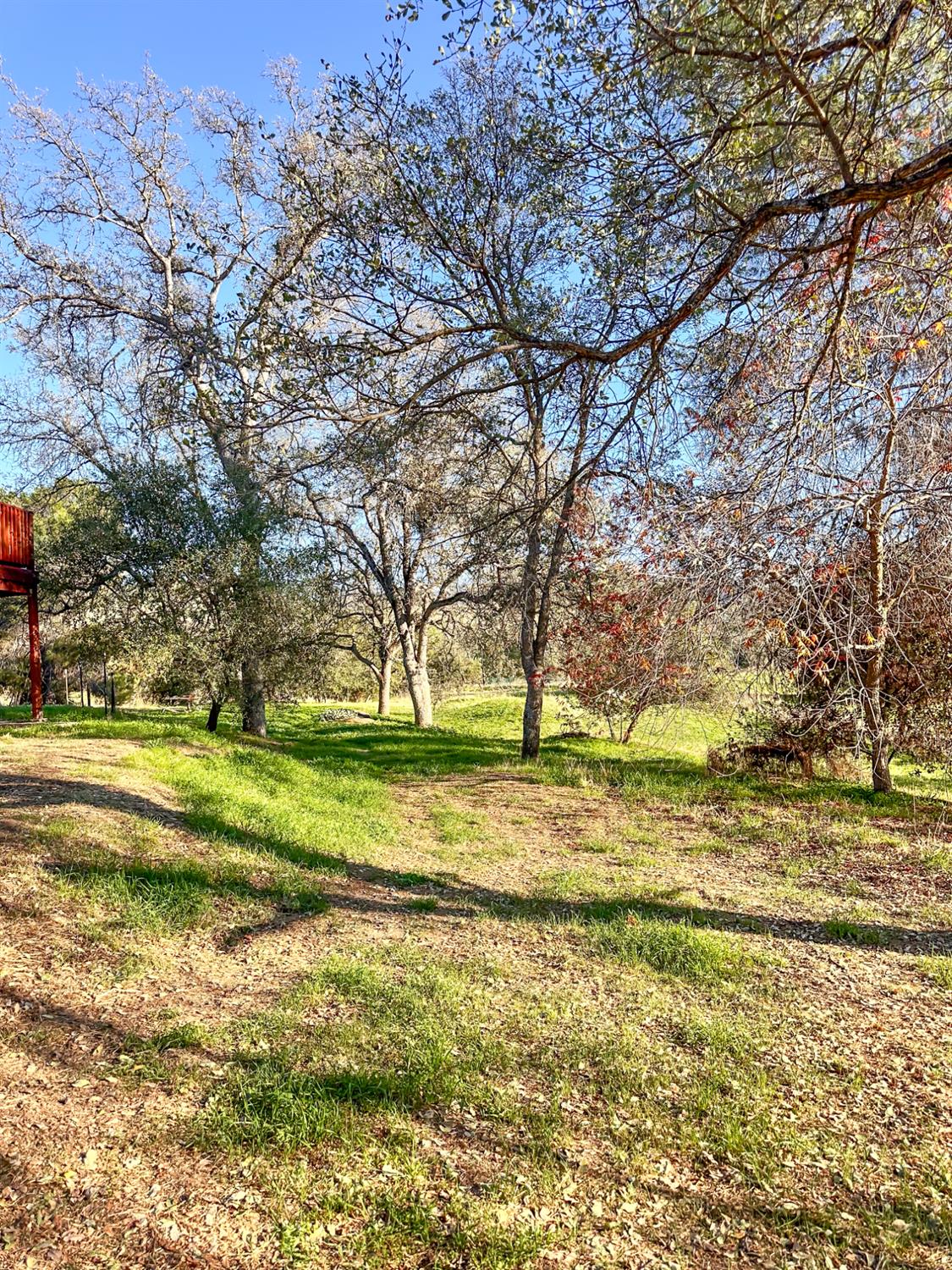 906 Elwood Road Squaw Valley, CA 93675 - Photo 22 of 25