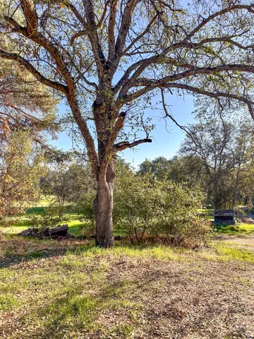 $250,000 | 906 Elwood Road, Squaw Valley, CA 93675