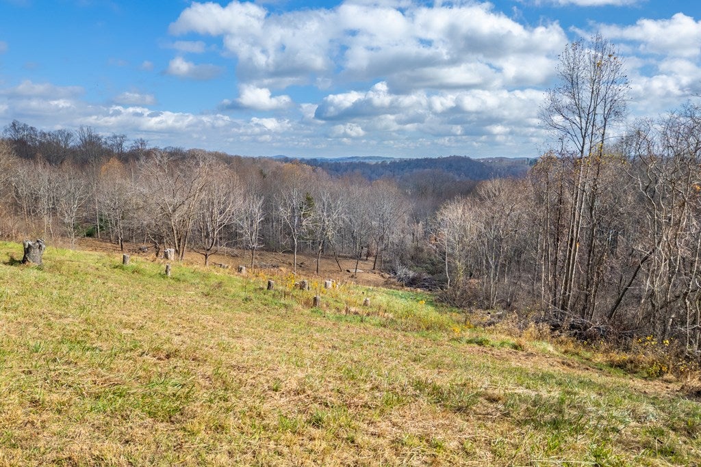 3.8-acre Dogwood Ridge, Unit 2B Fancy Gap, VA 24328 - Photo 37 of 39 Gallery Image 37