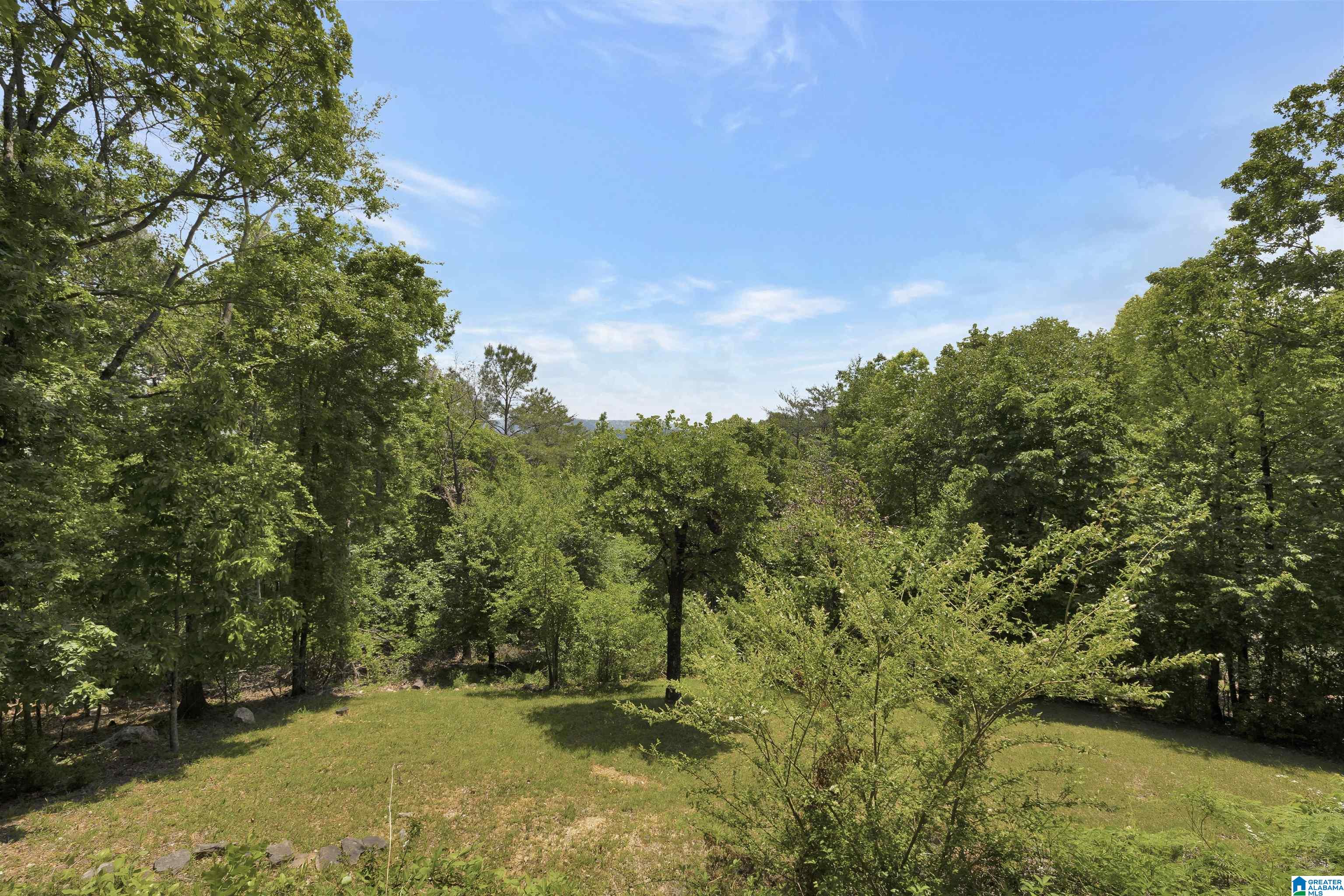 5357 Meadow Brook Road Birmingham, AL 35242 - Photo 40 of 46