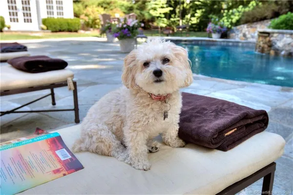 a view of entryway with garden