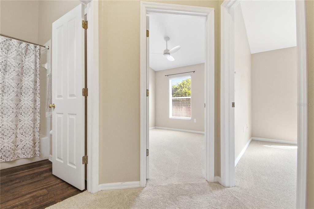 9808 New Parke Road Tampa, FL 33626 - Photo 34 of 52